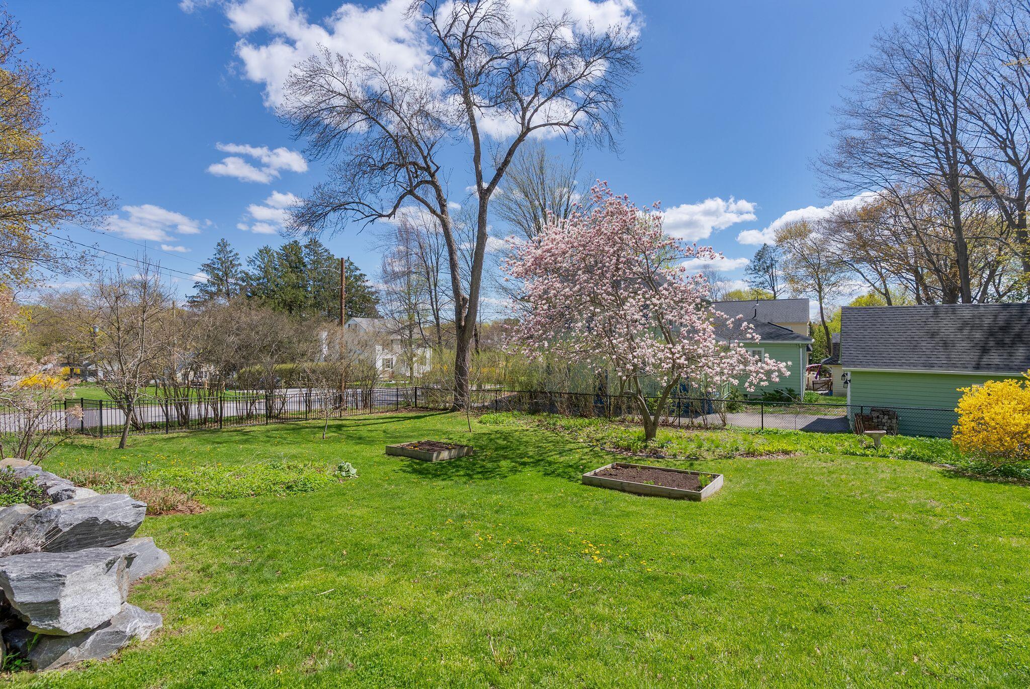 160 Craigie Street Portland, ME 04102 - Photo 12 of 73 Fruit Trees & Lawn