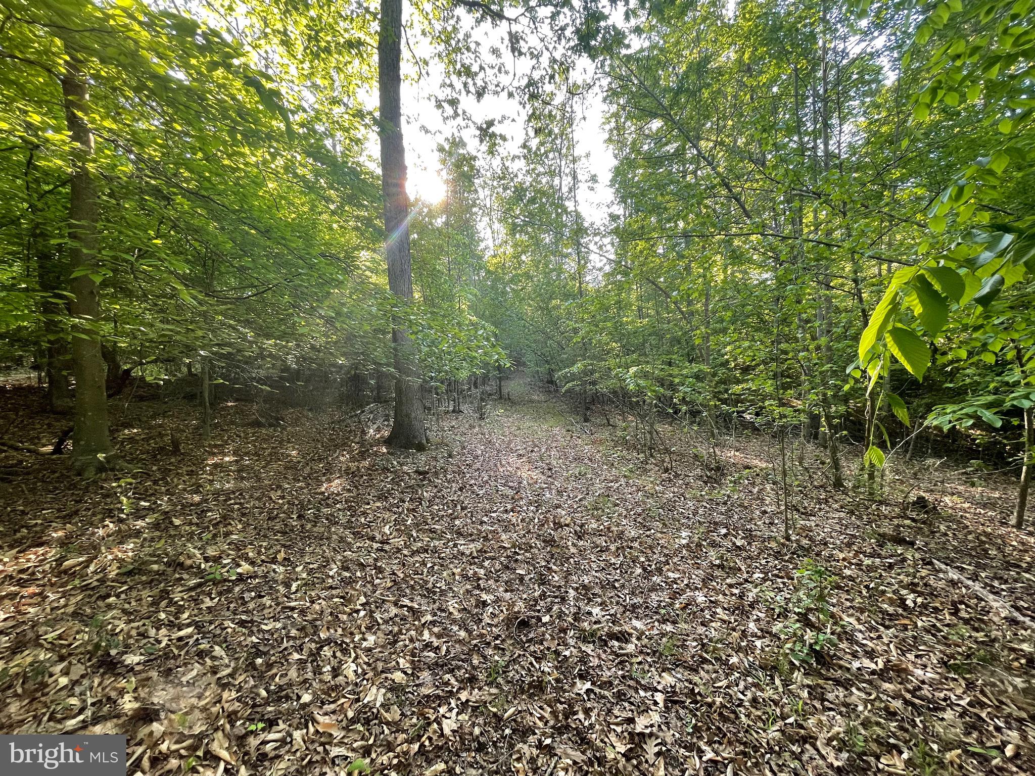 Lot 3 Deer Mountain Road Fredericksburg, VA 22407 - Photo 19 of 22