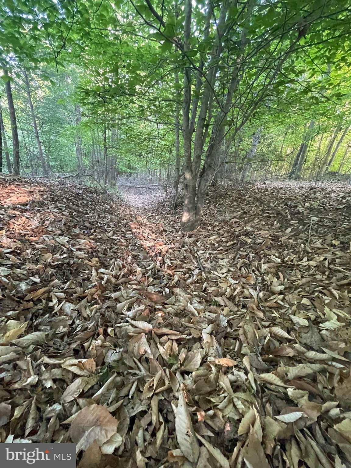 Lot 3 Deer Mountain Road Fredericksburg, VA 22407 - Photo 7 of 22 Civil War-era trenches