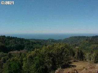 Carpenterville Road, Unit 1200 Brookings, OR 97415 - Photo 1 of 6 a view of a field