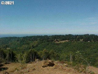 Carpenterville Road, Unit 1200 Brookings, OR 97415 - Photo 2 of 6 a view of a field