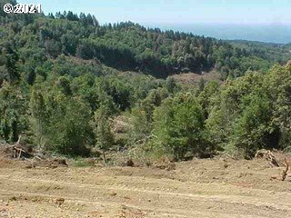 Carpenterville Road, Unit 1200 Brookings, OR 97415 - Photo 3 of 6 a view of a dry yard with a tree