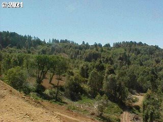 Carpenterville Road, Unit 1200 Brookings, OR 97415 - Photo 5 of 6 a view of a field