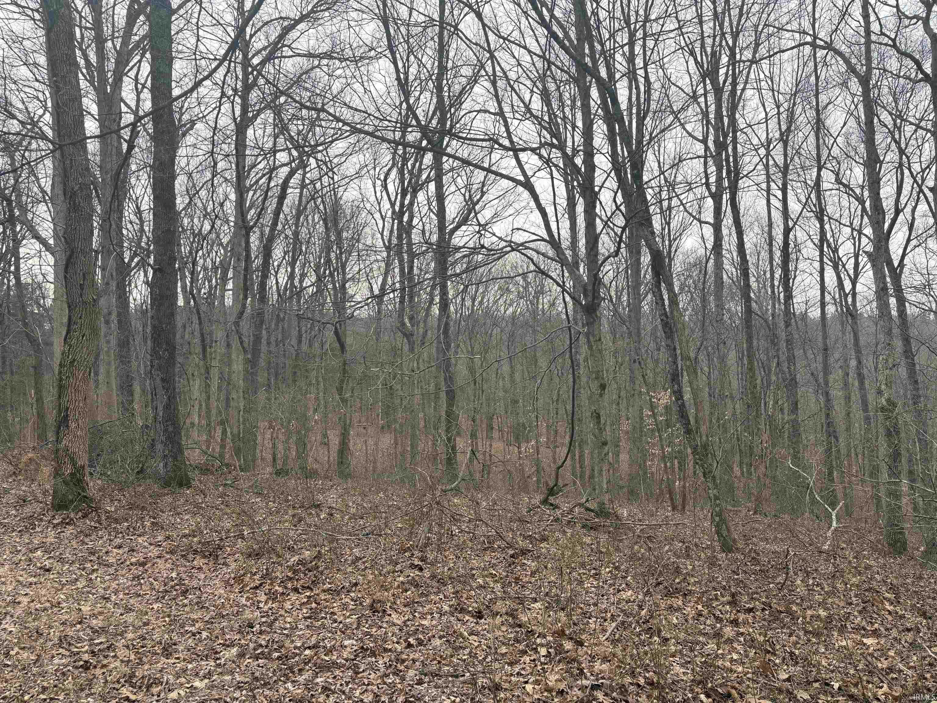 Campton Road Birdseye, IN 47513 - Photo 1 of 9 Gallery Image 1