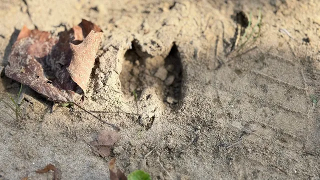 $1 | 3 East 100th, Worthington, IN 47471