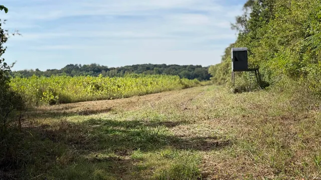 $1 | 3 East 100th, Worthington, IN 47471