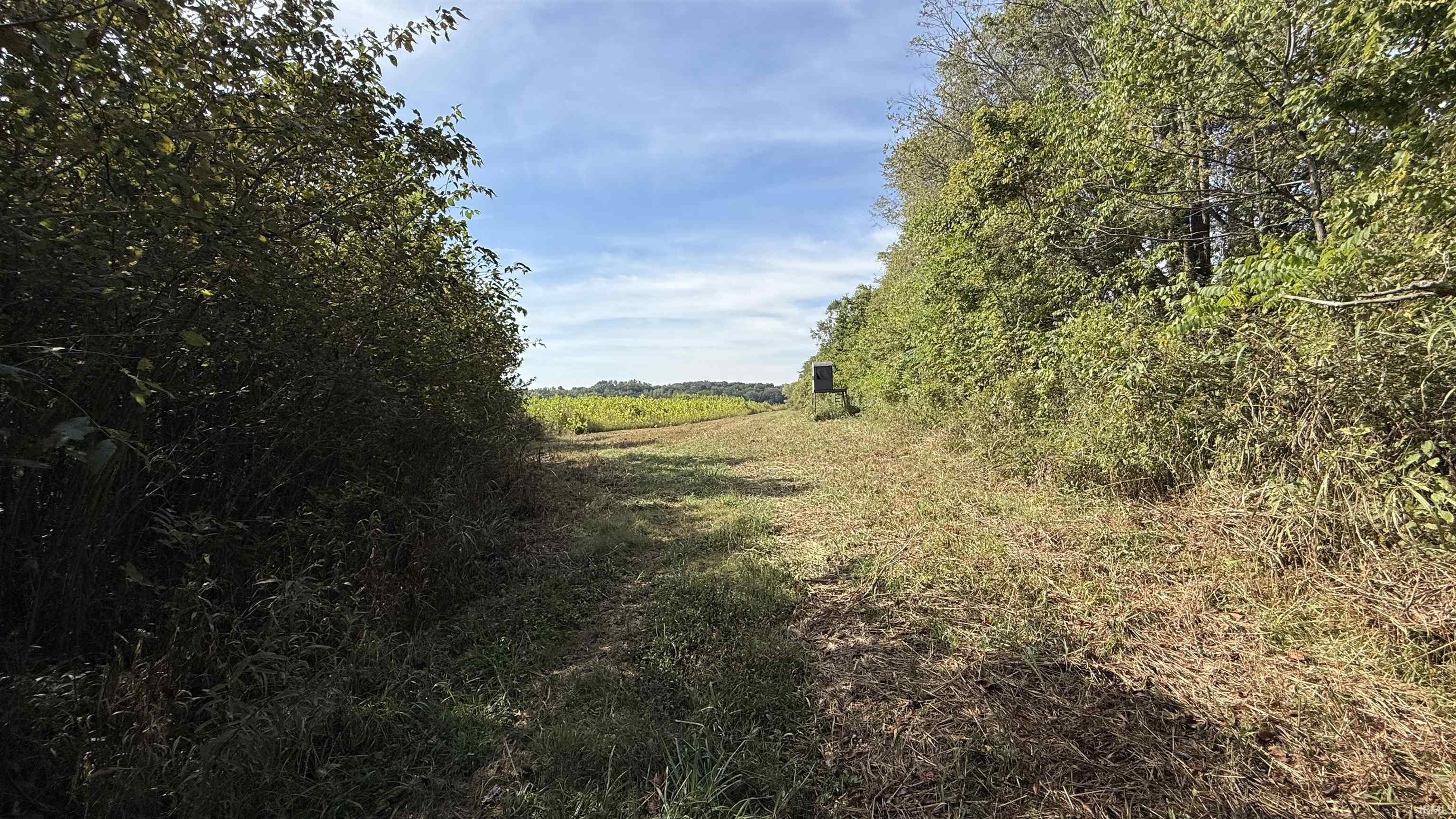 3 East 100th Worthington, IN 47471 - Photo 8 of 17