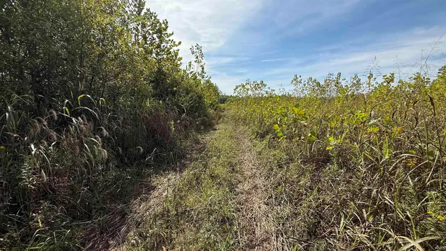 $1 | 3 East 100th, Worthington, IN 47471