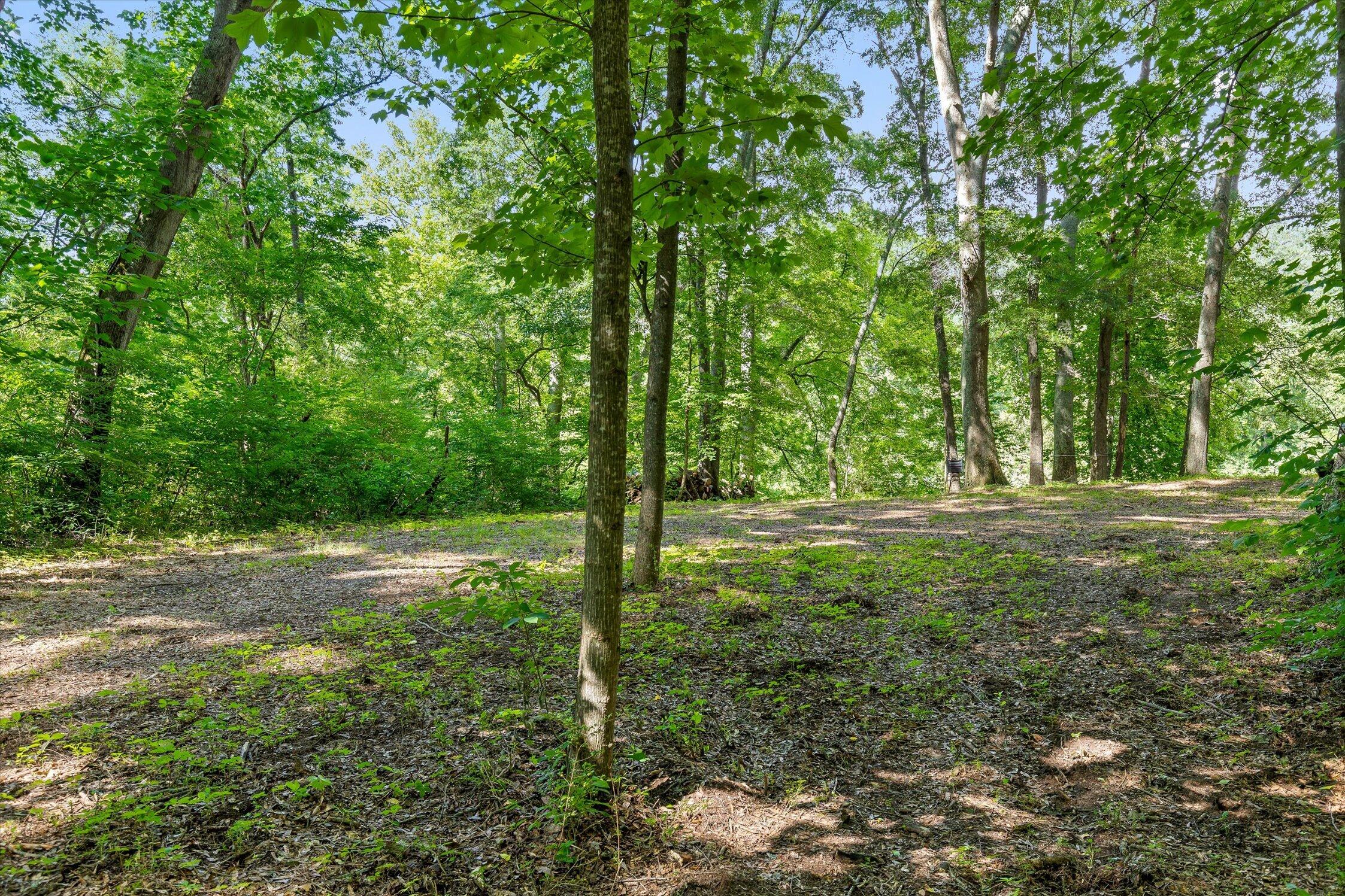 0 Hildabrand Road Ocoee, TN 37361 - Photo 23 of 46 11-Old Federal Rd-4