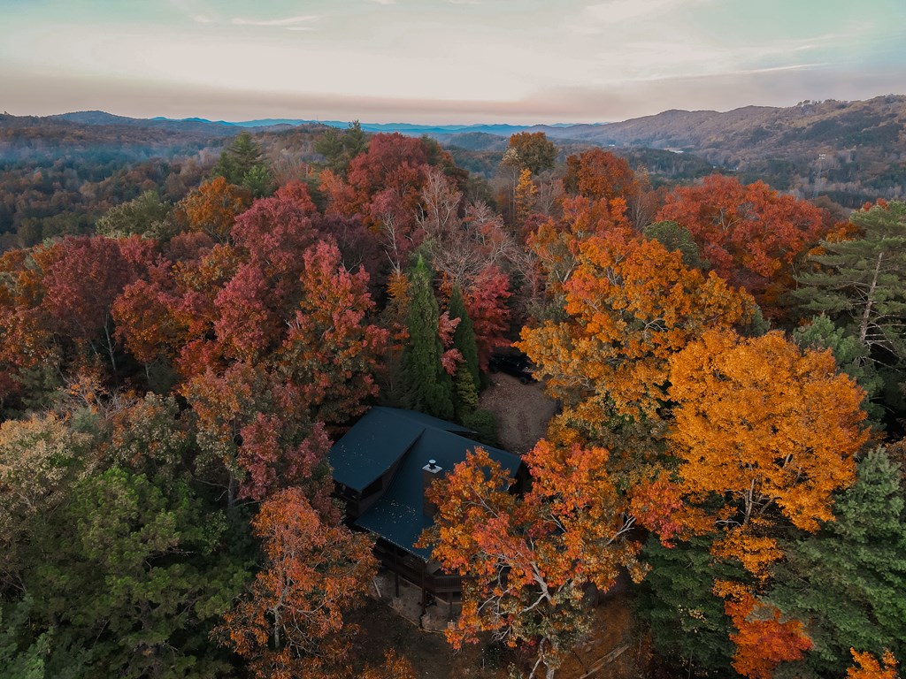 71 Tall Timber Mountain Way Blue Ridge, GA 30513 - Photo 45 of 70