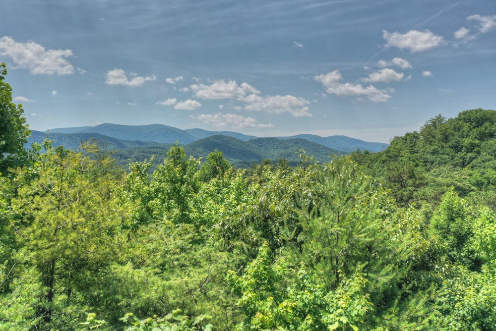 71 Tall Timber Mountain Way Blue Ridge, GA 30513 - Photo 62 of 70