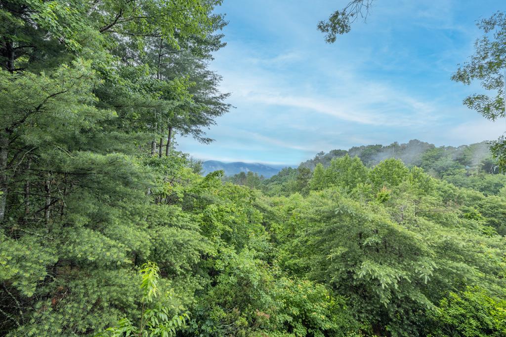 71 Tall Timber Mountain Way Blue Ridge, GA 30513 - Photo 69 of 70