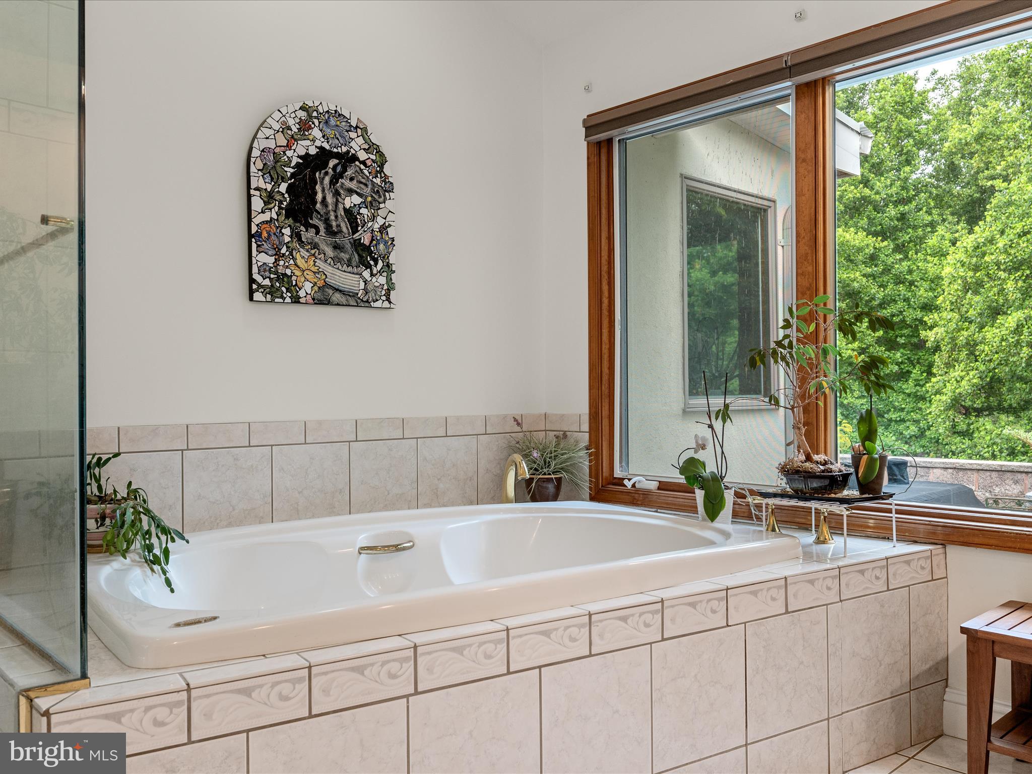 3959 Cobbler Mountain Road Delaplane, VA 20144 - Photo 50 of 106 Primary Bathroom