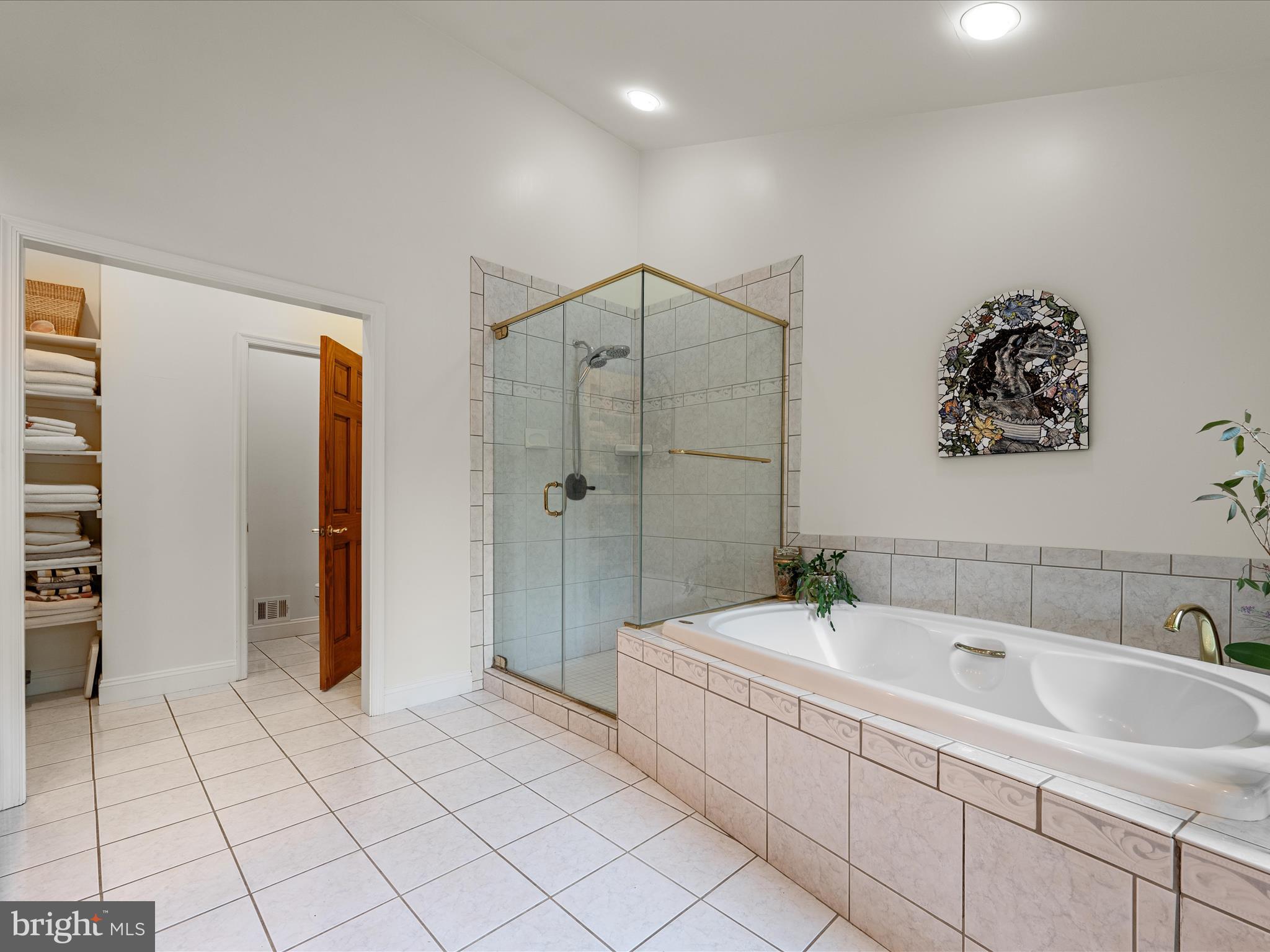 3959 Cobbler Mountain Road Delaplane, VA 20144 - Photo 51 of 106 a bathroom with a bathtub and a shower