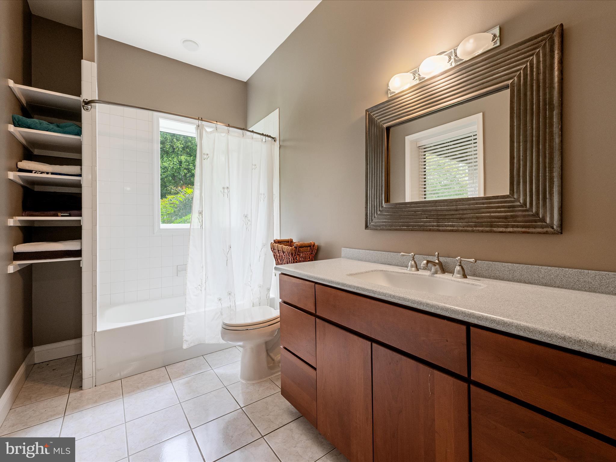 3959 Cobbler Mountain Road Delaplane, VA 20144 - Photo 59 of 106 a bathroom with a sink a toilet and shower