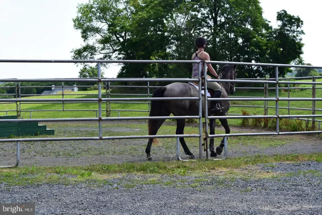 $1,850,000 | 3959 Cobbler Mountain Road, Delaplane, VA 20144