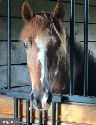 $1,850,000 | 3959 Cobbler Mountain Road, Delaplane, VA 20144