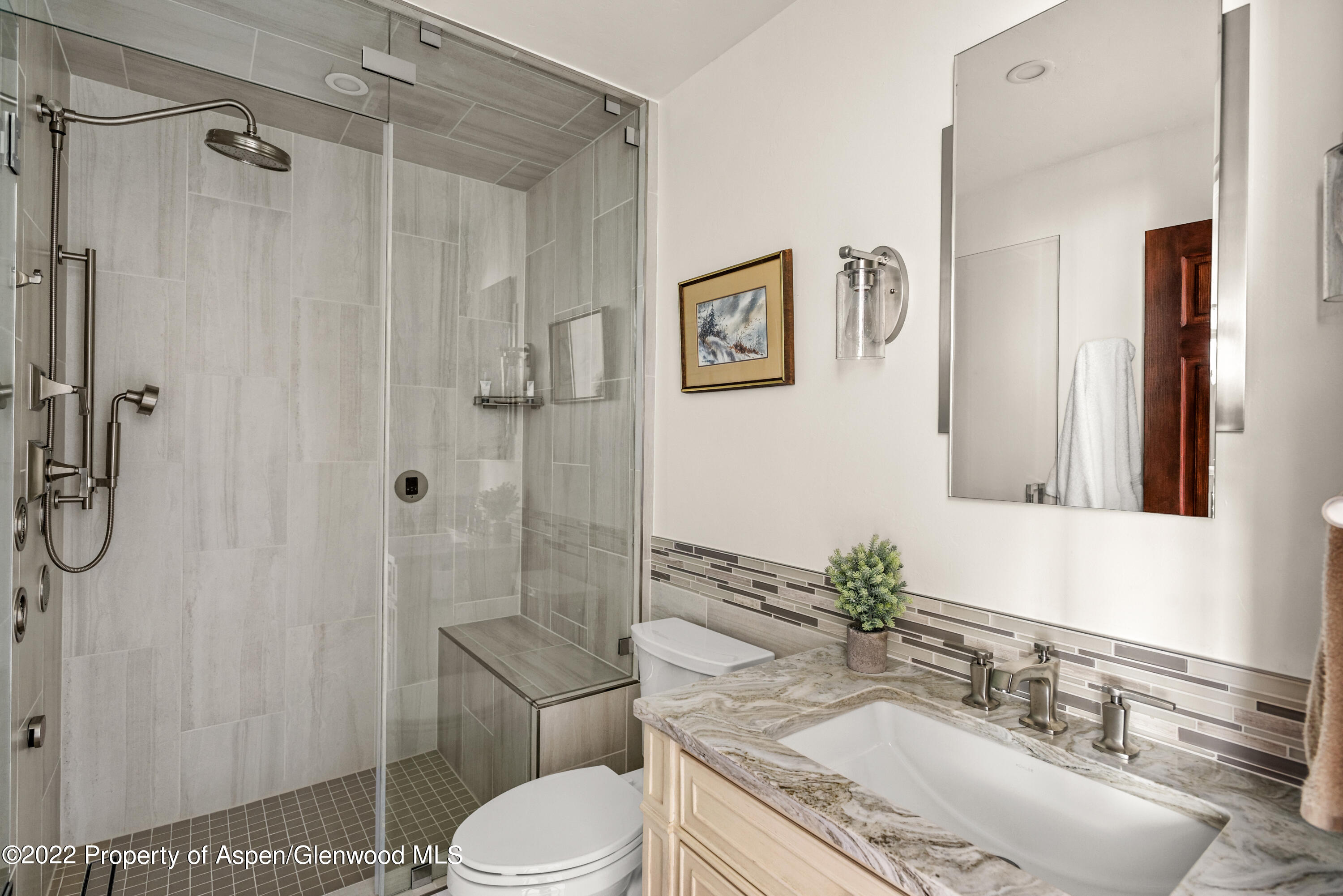 805 Pinon Drive, Unit 2 Basalt, CO 81621 - Photo 6 of 19 805Pinon#2_HiRes_220804005