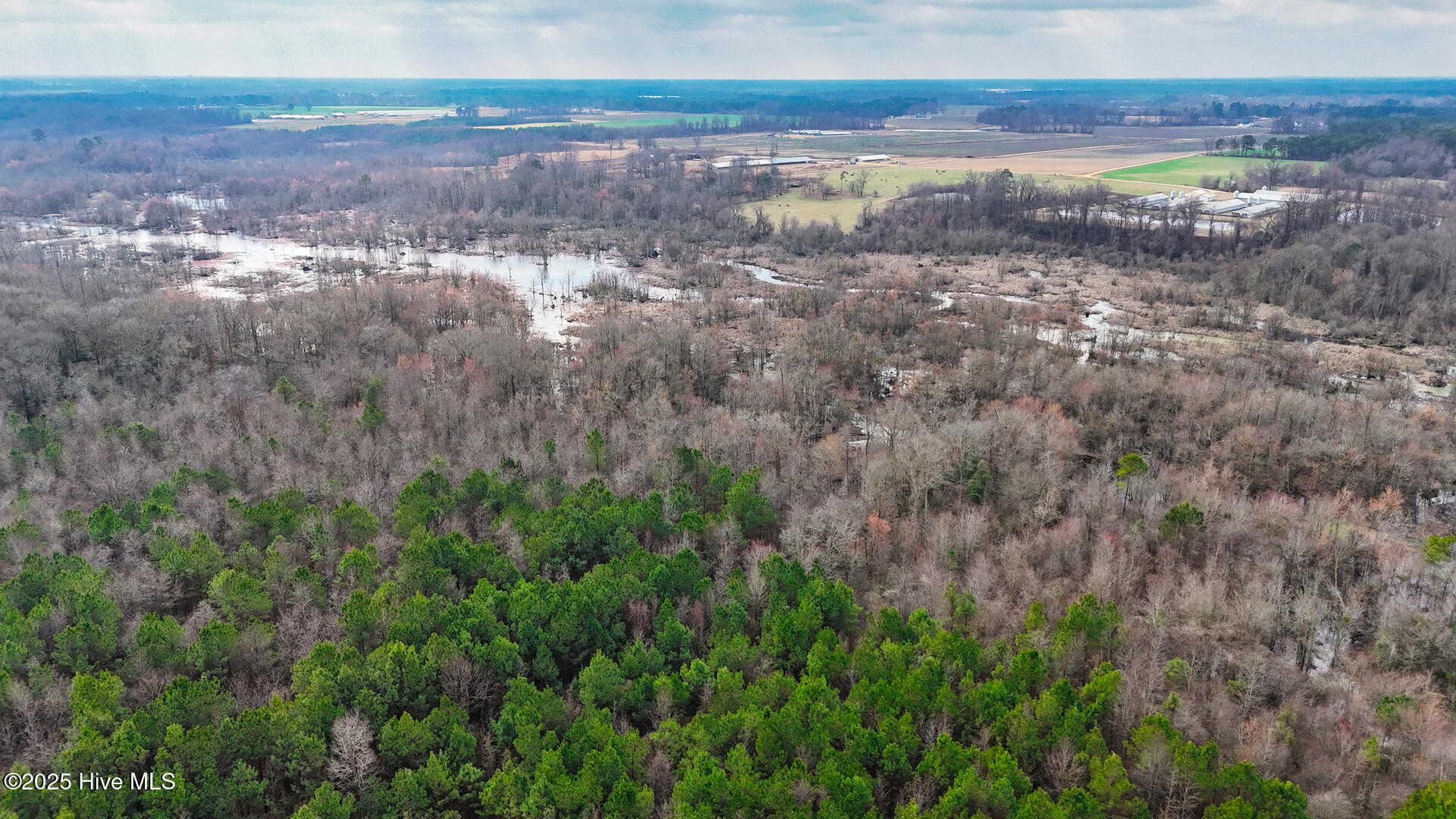 0 East Darden Road Faison, NC 28341 - Photo 15 of 25 31265_Image_15