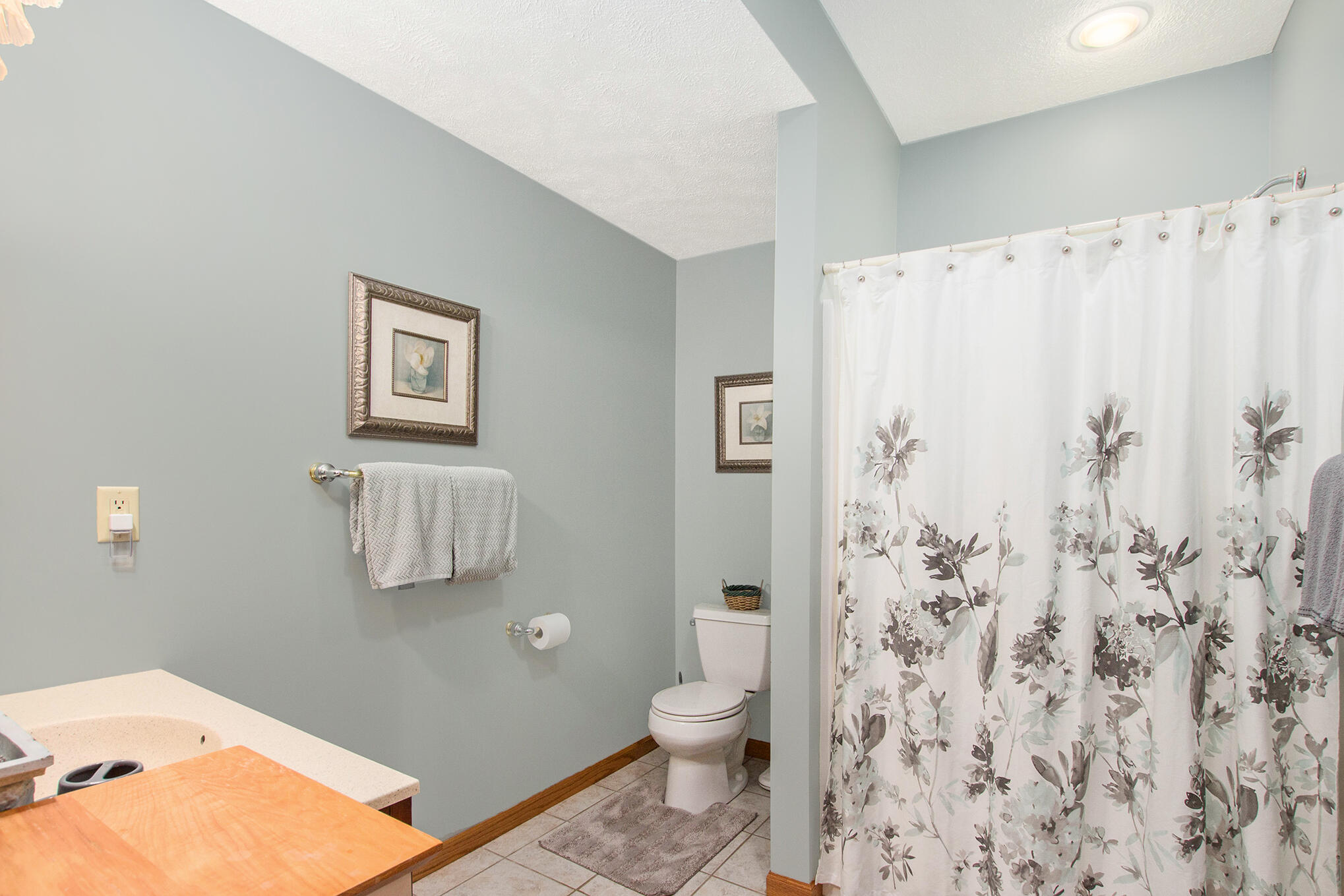 111 Edelweiss Road Fremont, MI 49412 - Photo 30 of 44 Converted_59