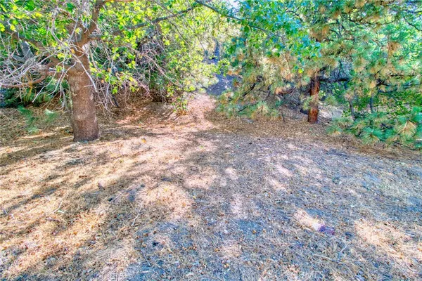 a backyard of a house with lots of trees