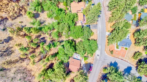 a picture of flowers