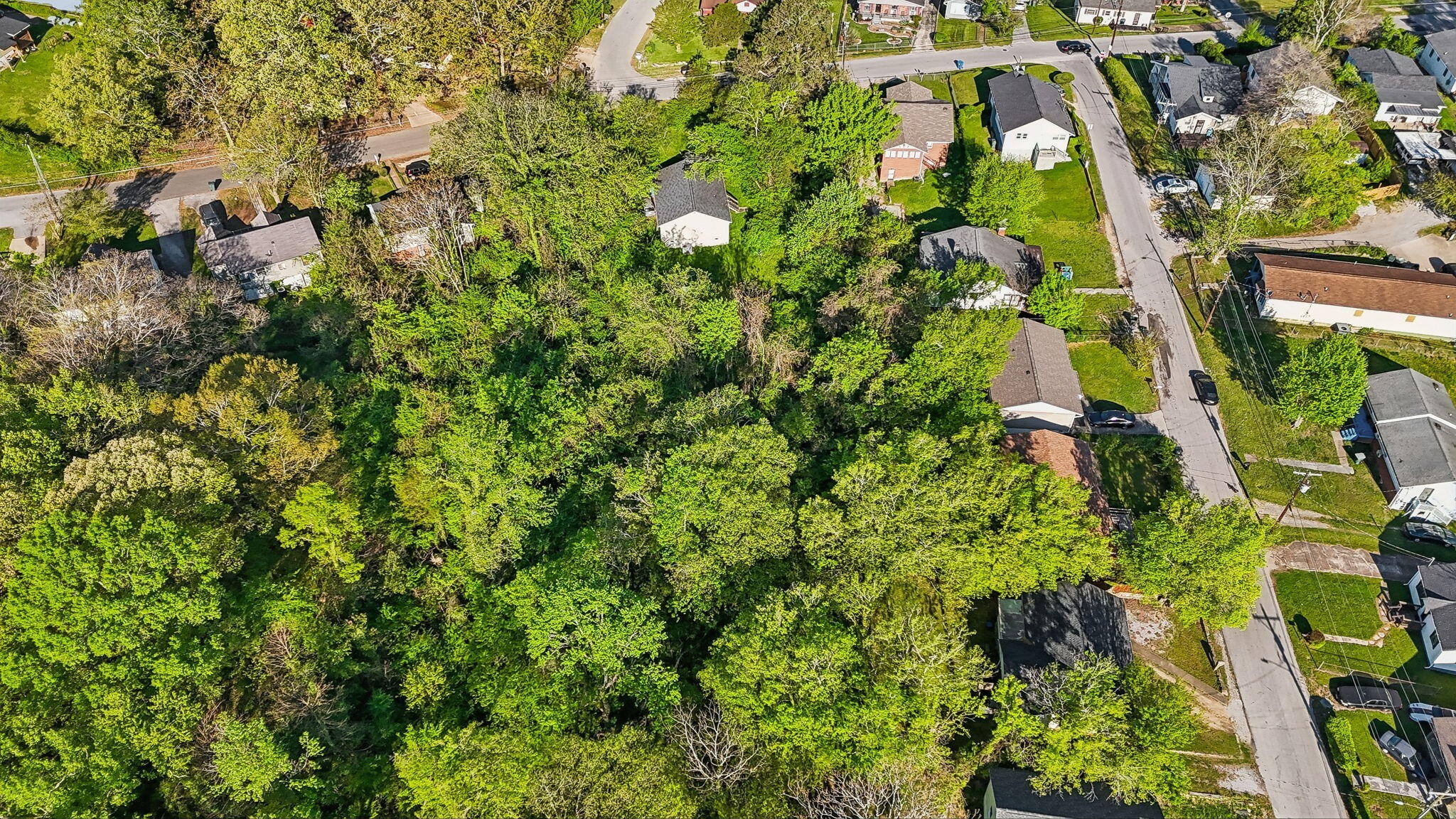 694 Gillespie Road Chattanooga, TN 37411 - Photo 5 of 13 Gallery Image 5