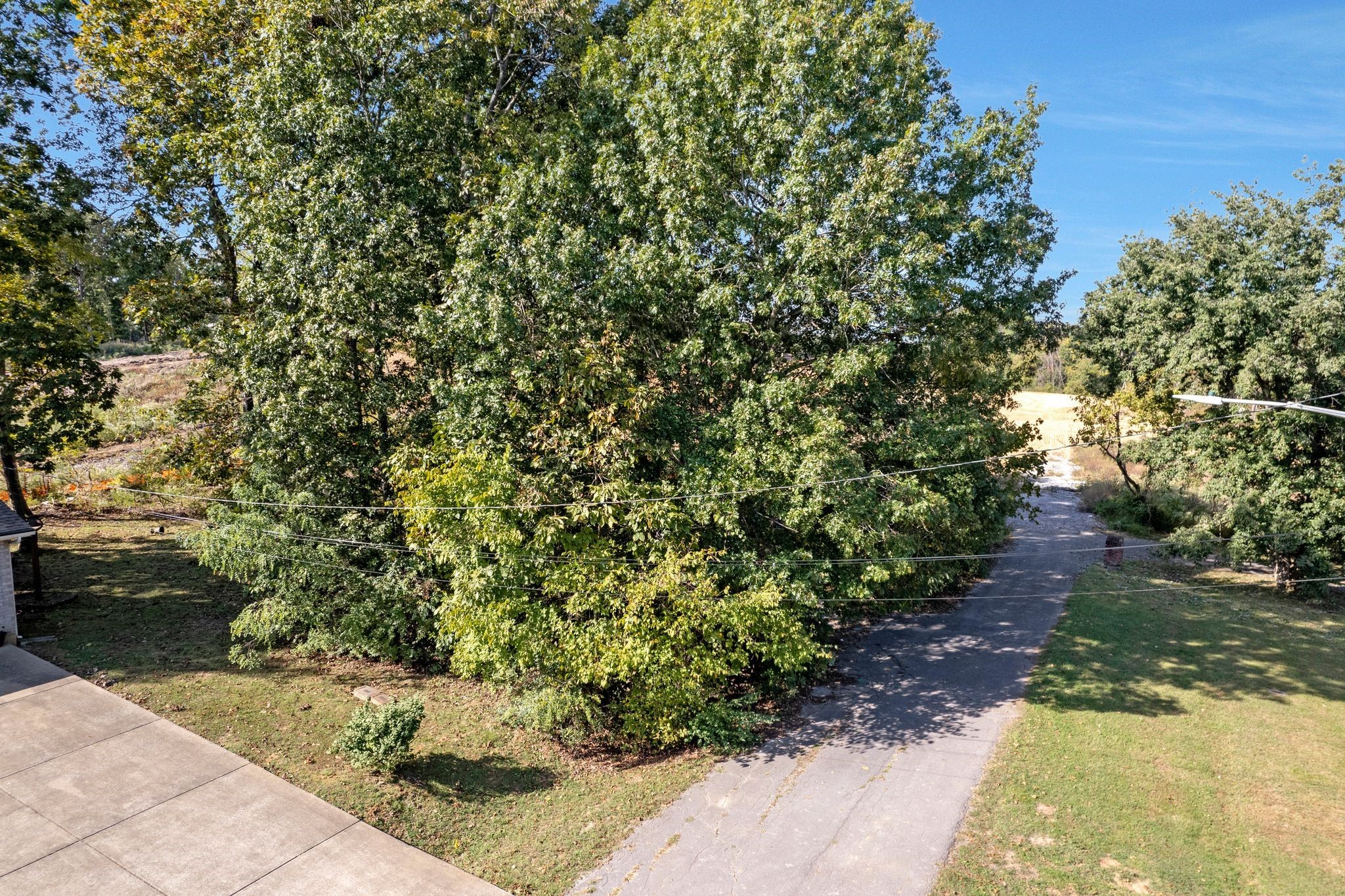 0 Spring Street La Vergne, TN 37086 - Photo 4 of 6 Gallery Image 4
