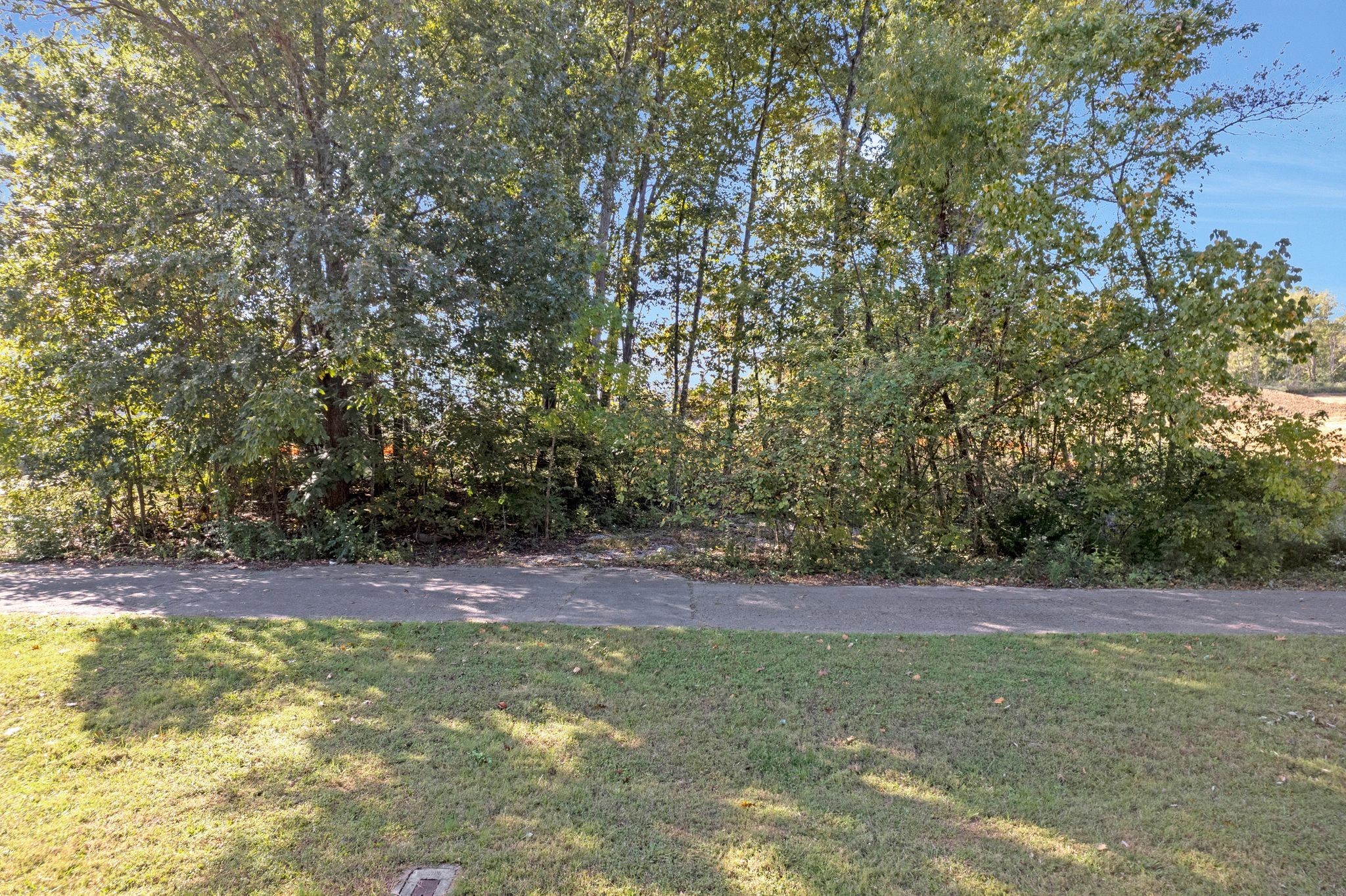 0 Spring Street La Vergne, TN 37086 - Photo 5 of 6 Gallery Image 5