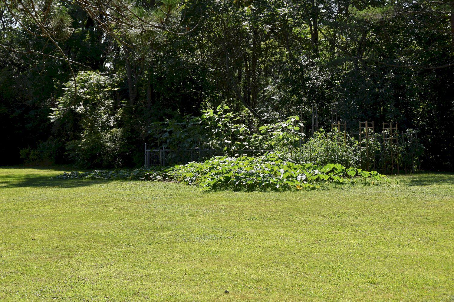 4 New Portland Road North Anson, ME 04958 - Photo 9 of 74 DSC_0002