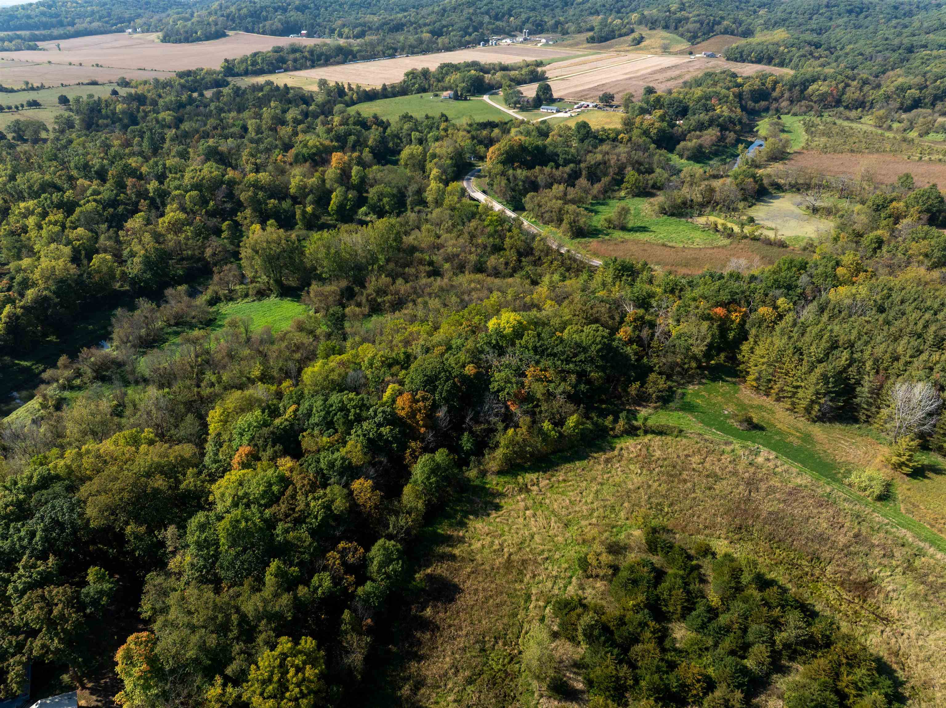 0 South Crazy Hollow Road Hanover, IL 61041 - Photo 17 of 98 a view of a forest with a houses