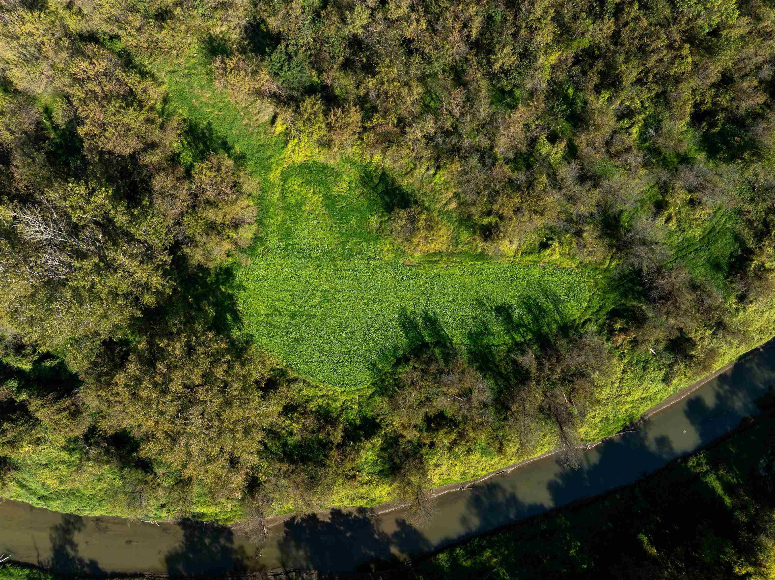 0 South Crazy Hollow Road Hanover, IL 61041 - Photo 27 of 98