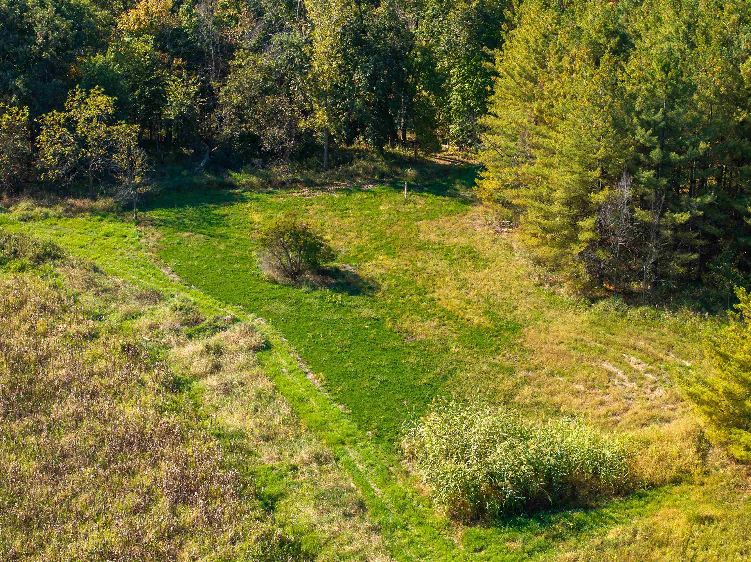 0 South Crazy Hollow Road Hanover, IL 61041 - Photo 3 of 98 a view of a yard