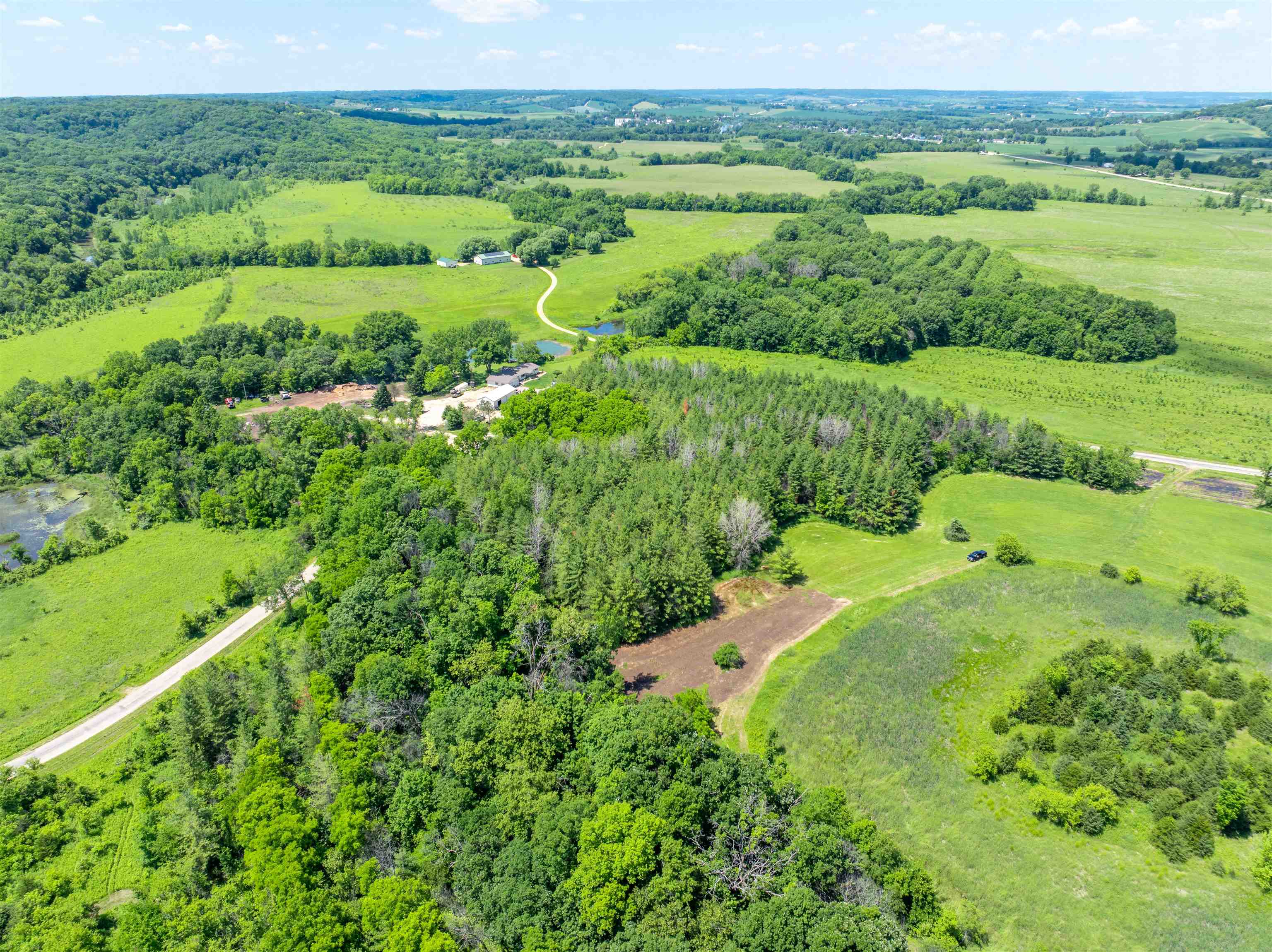 0 South Crazy Hollow Road Hanover, IL 61041 - Photo 31 of 98 a view of a lush green forest with lots of trees