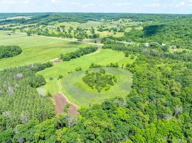 a view of a yard with plants