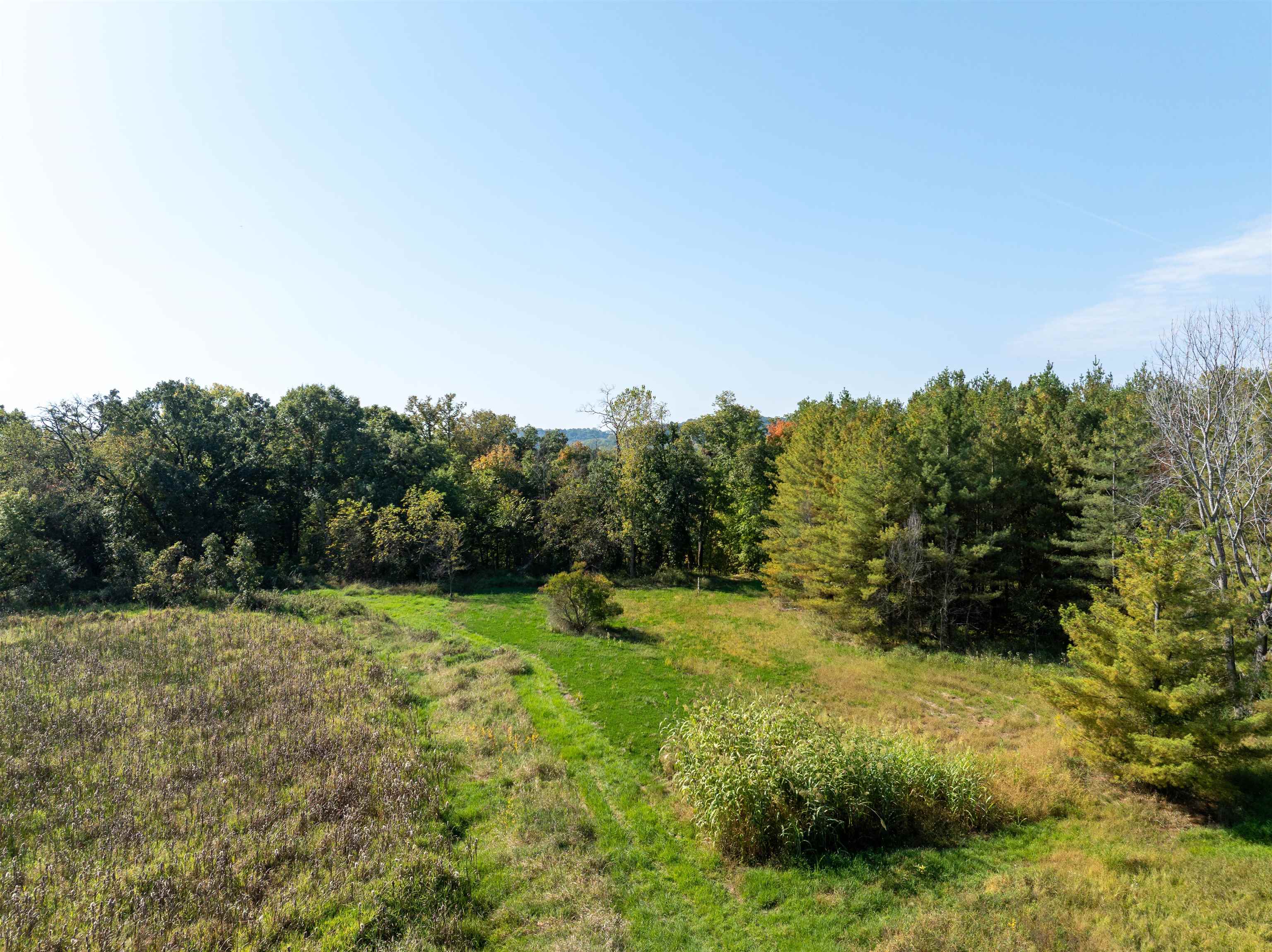 0 South Crazy Hollow Road Hanover, IL 61041 - Photo 4 of 98 a view of a grassy field with trees in the background