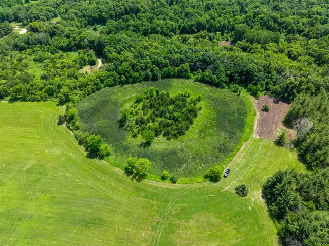 a view of a lush green forest