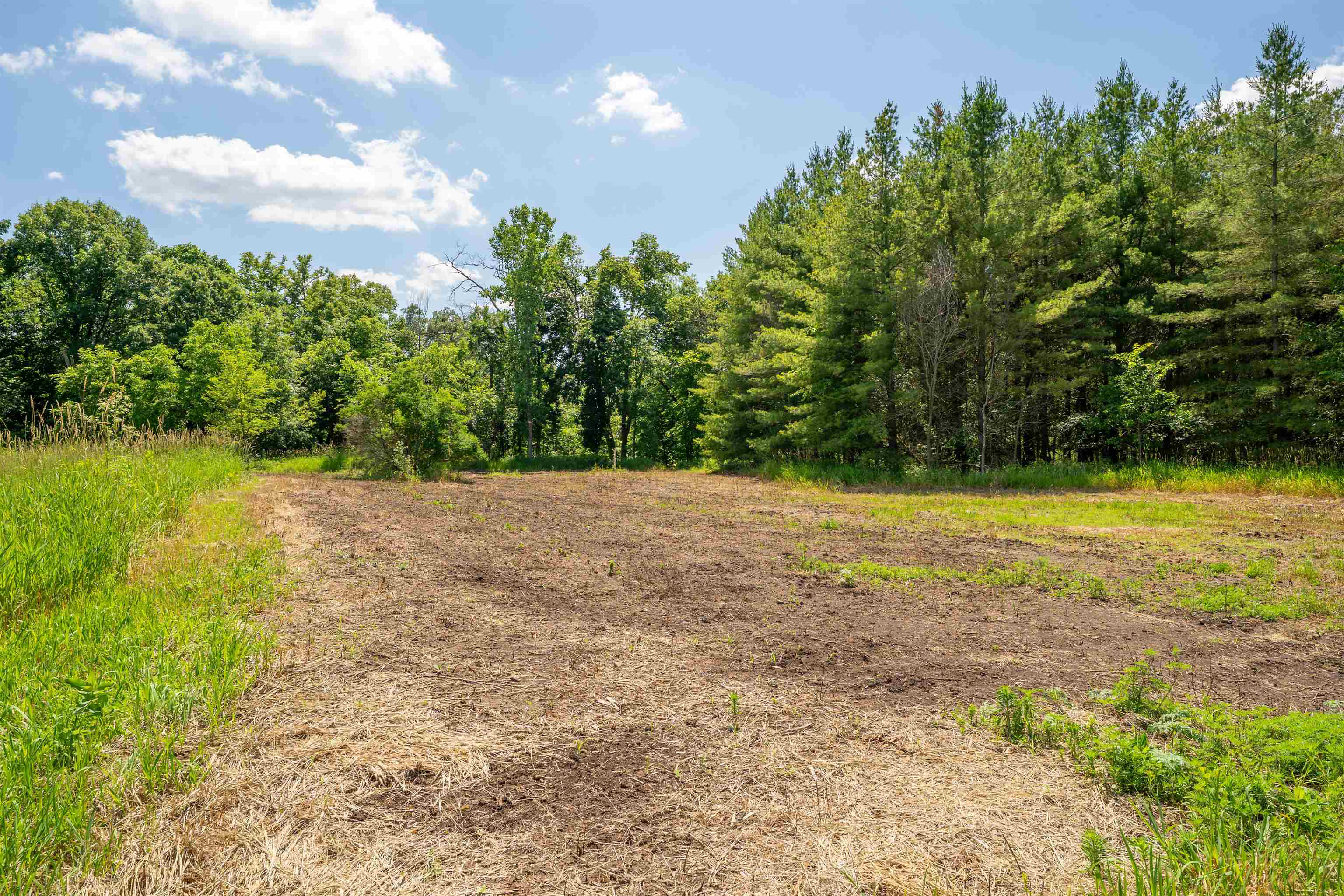 0 South Crazy Hollow Road Hanover, IL 61041 - Photo 48 of 98 a view of a yard with a tree