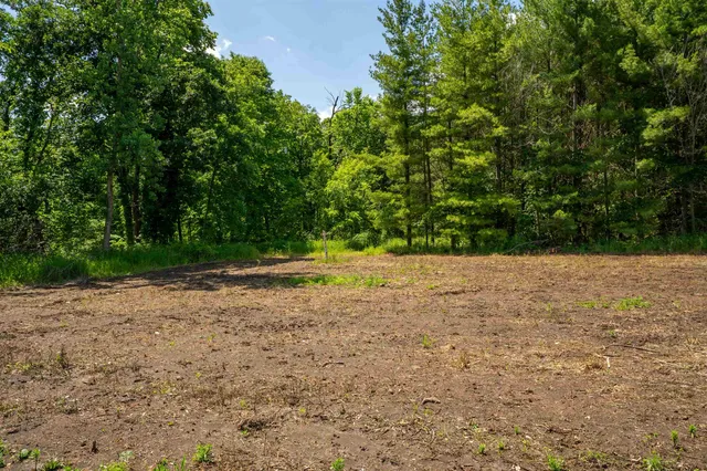 a view of a golf course with a lake