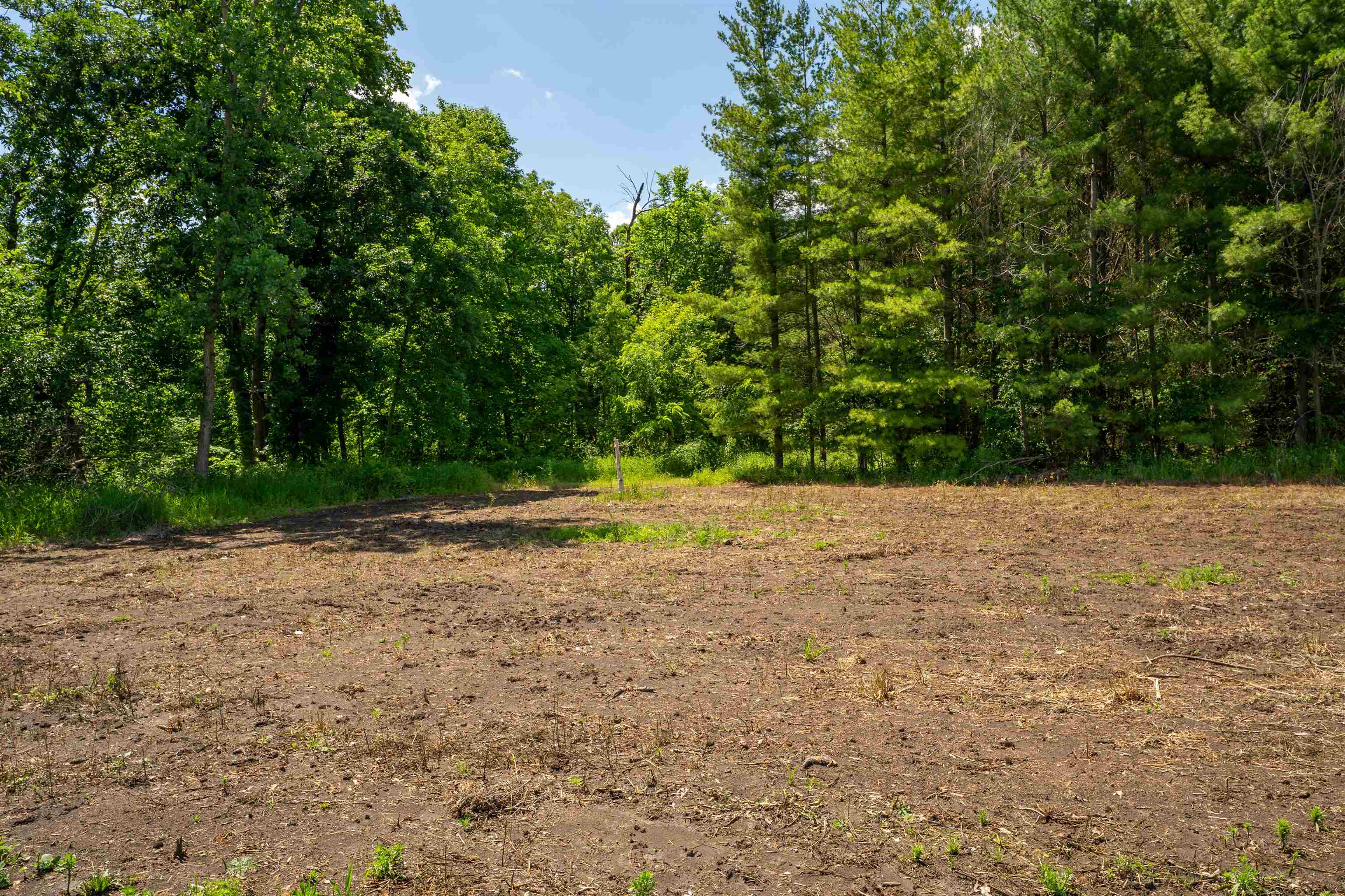 0 South Crazy Hollow Road Hanover, IL 61041 - Photo 50 of 98