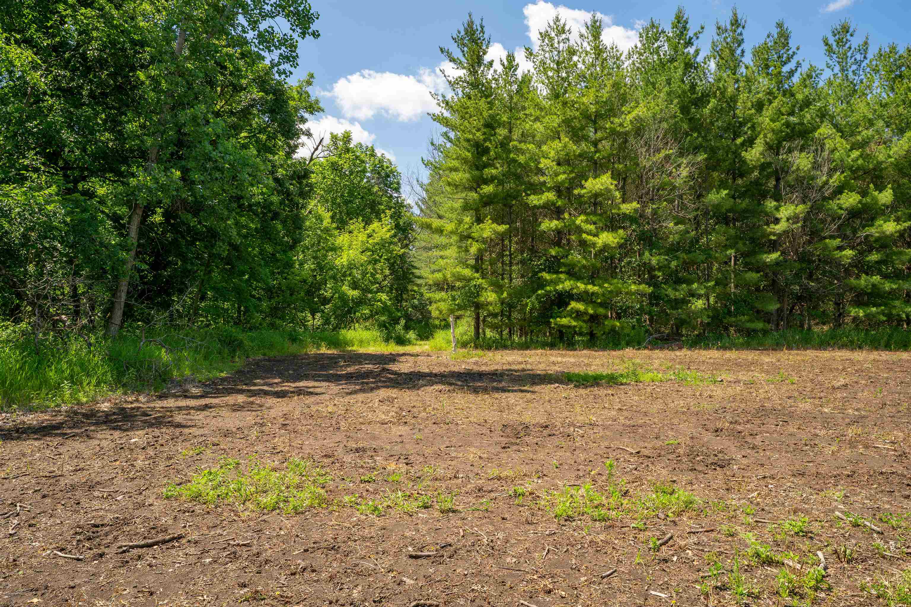 0 South Crazy Hollow Road Hanover, IL 61041 - Photo 51 of 98 a view of a yard with plants