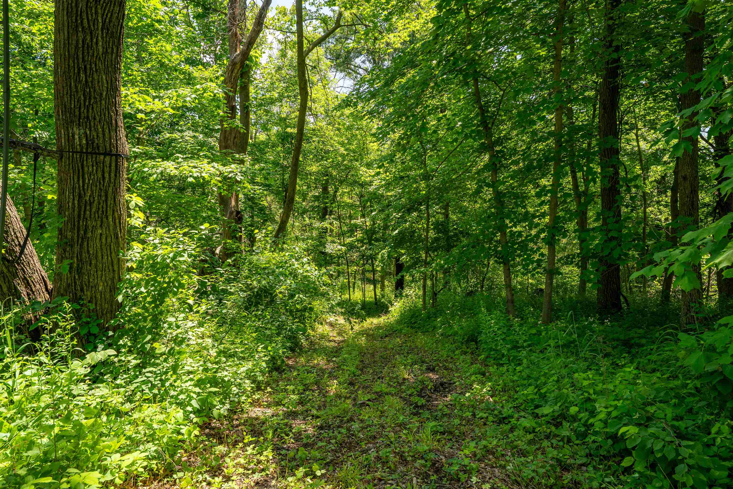 0 South Crazy Hollow Road Hanover, IL 61041 - Photo 52 of 98