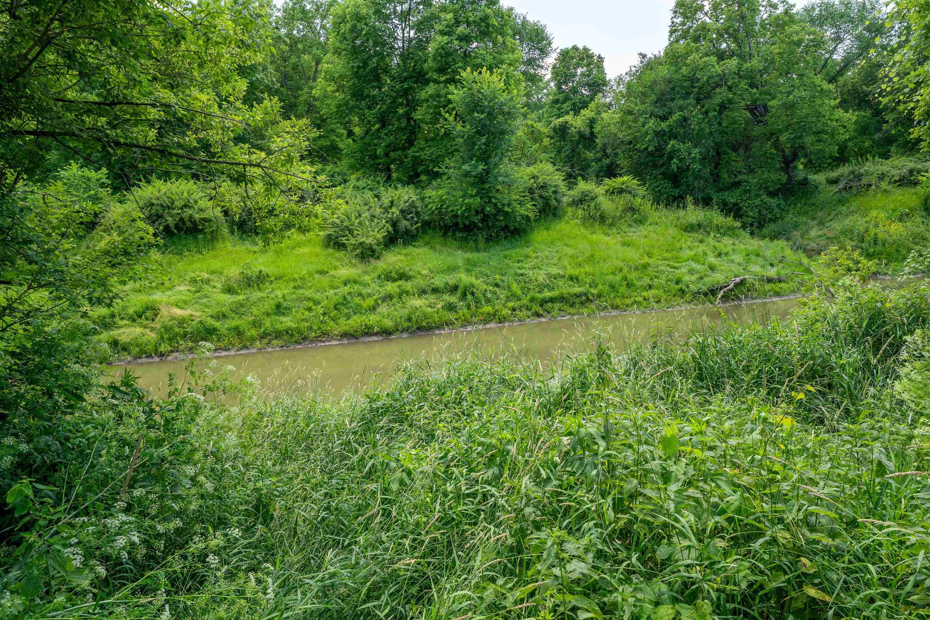 0 South Crazy Hollow Road Hanover, IL 61041 - Photo 55 of 98 a view of a lush green space