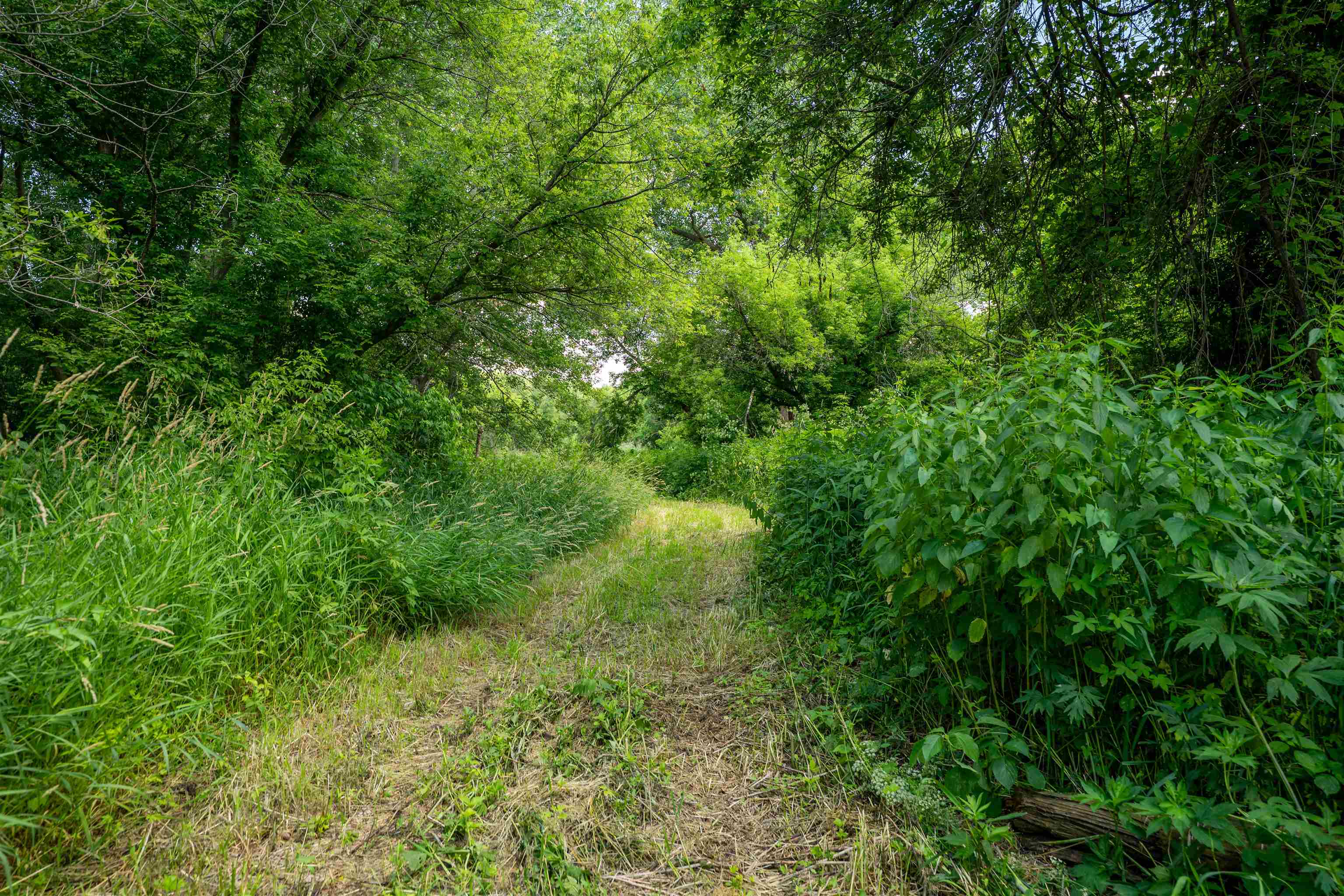 0 South Crazy Hollow Road Hanover, IL 61041 - Photo 56 of 98