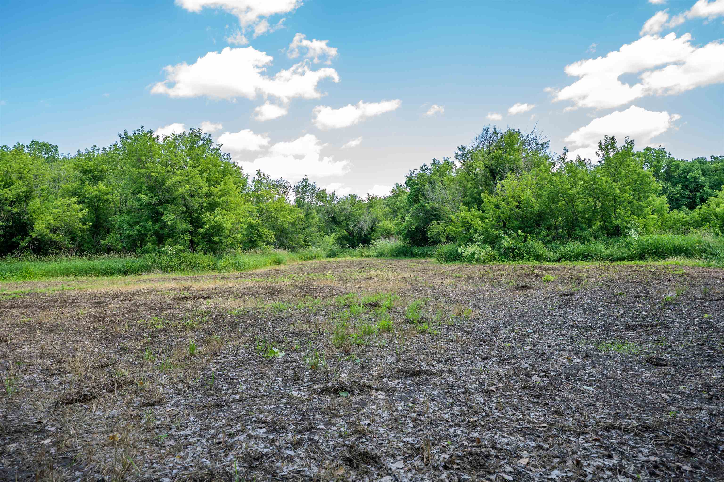 0 South Crazy Hollow Road Hanover, IL 61041 - Photo 57 of 98 a view of a big yard with lots of green space