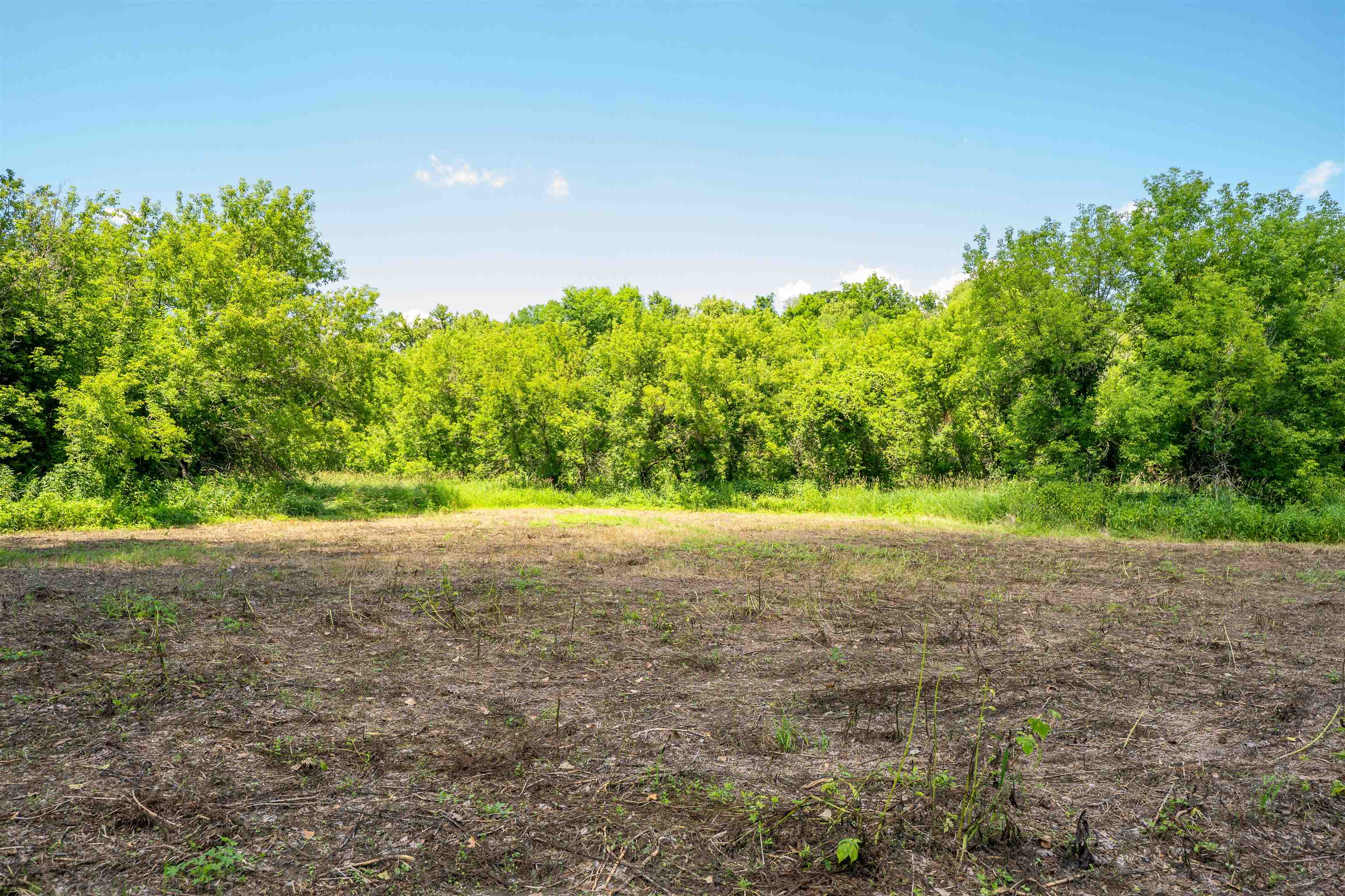 0 South Crazy Hollow Road Hanover, IL 61041 - Photo 58 of 98 a view of a yard with a tree