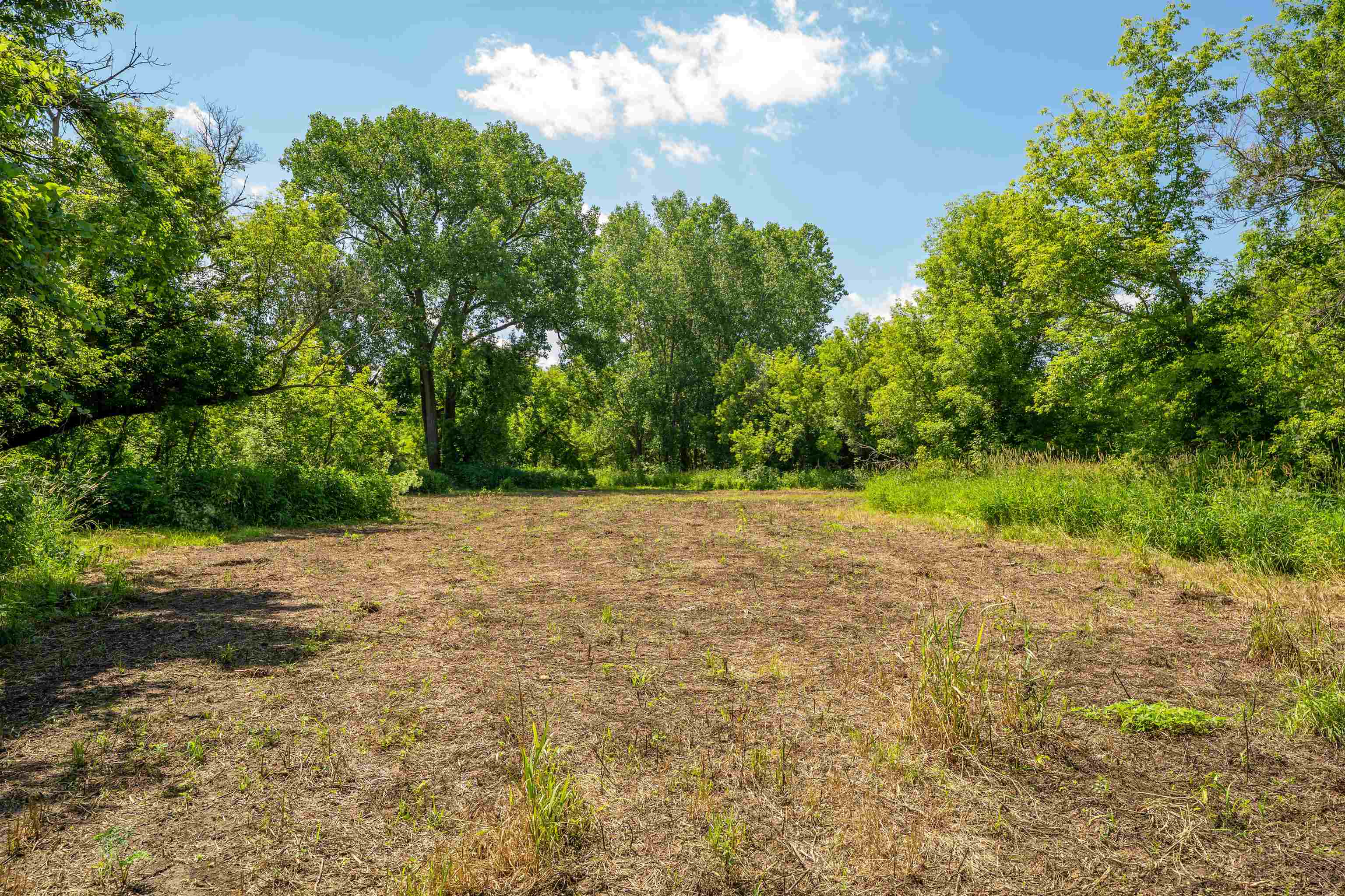 0 South Crazy Hollow Road Hanover, IL 61041 - Photo 59 of 98 a view of a yard with plants and trees