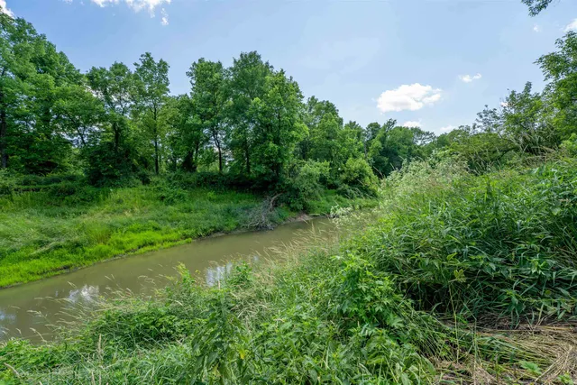a view of a lush green forest