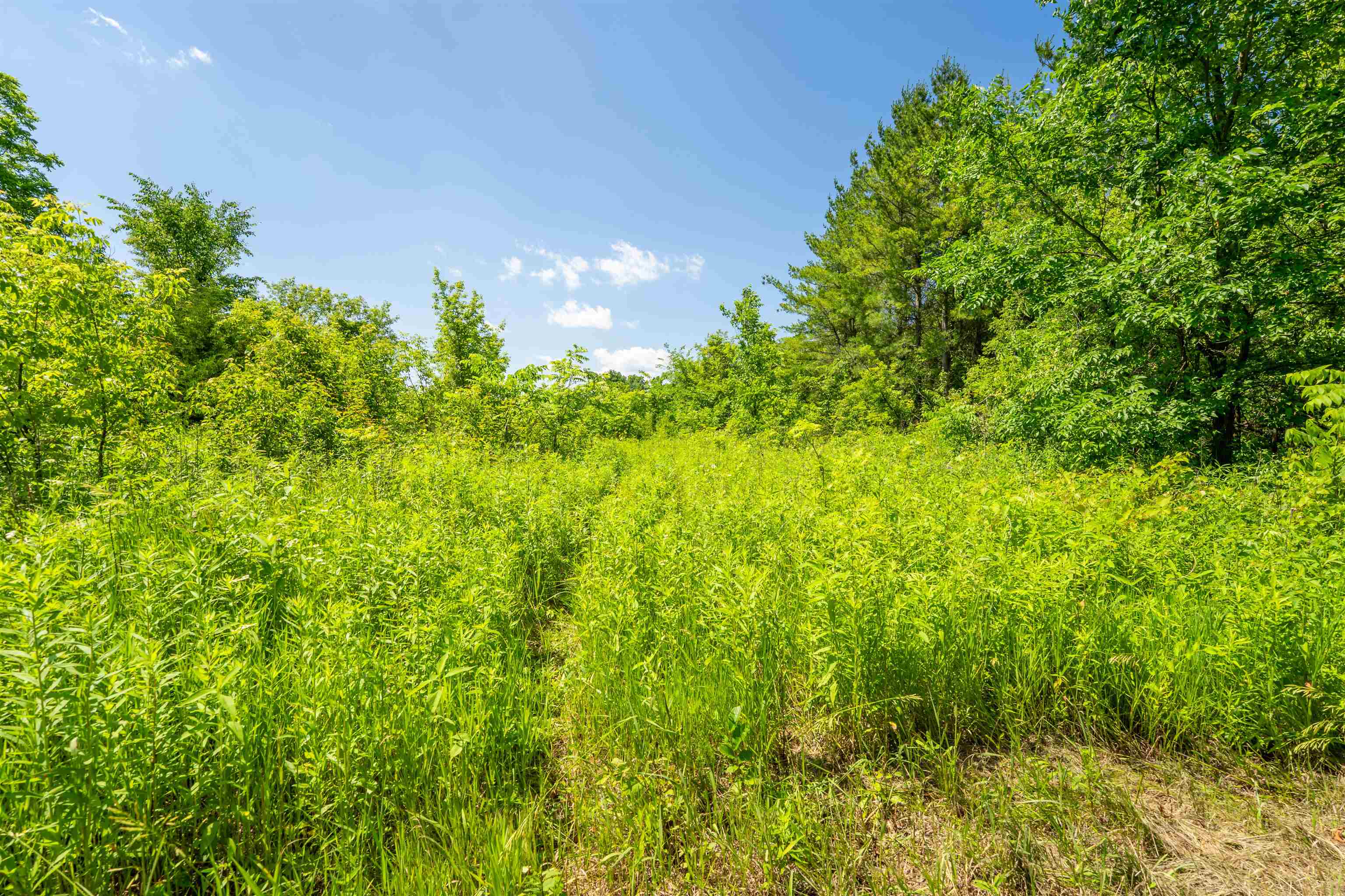 0 South Crazy Hollow Road Hanover, IL 61041 - Photo 64 of 98 a view of a garden