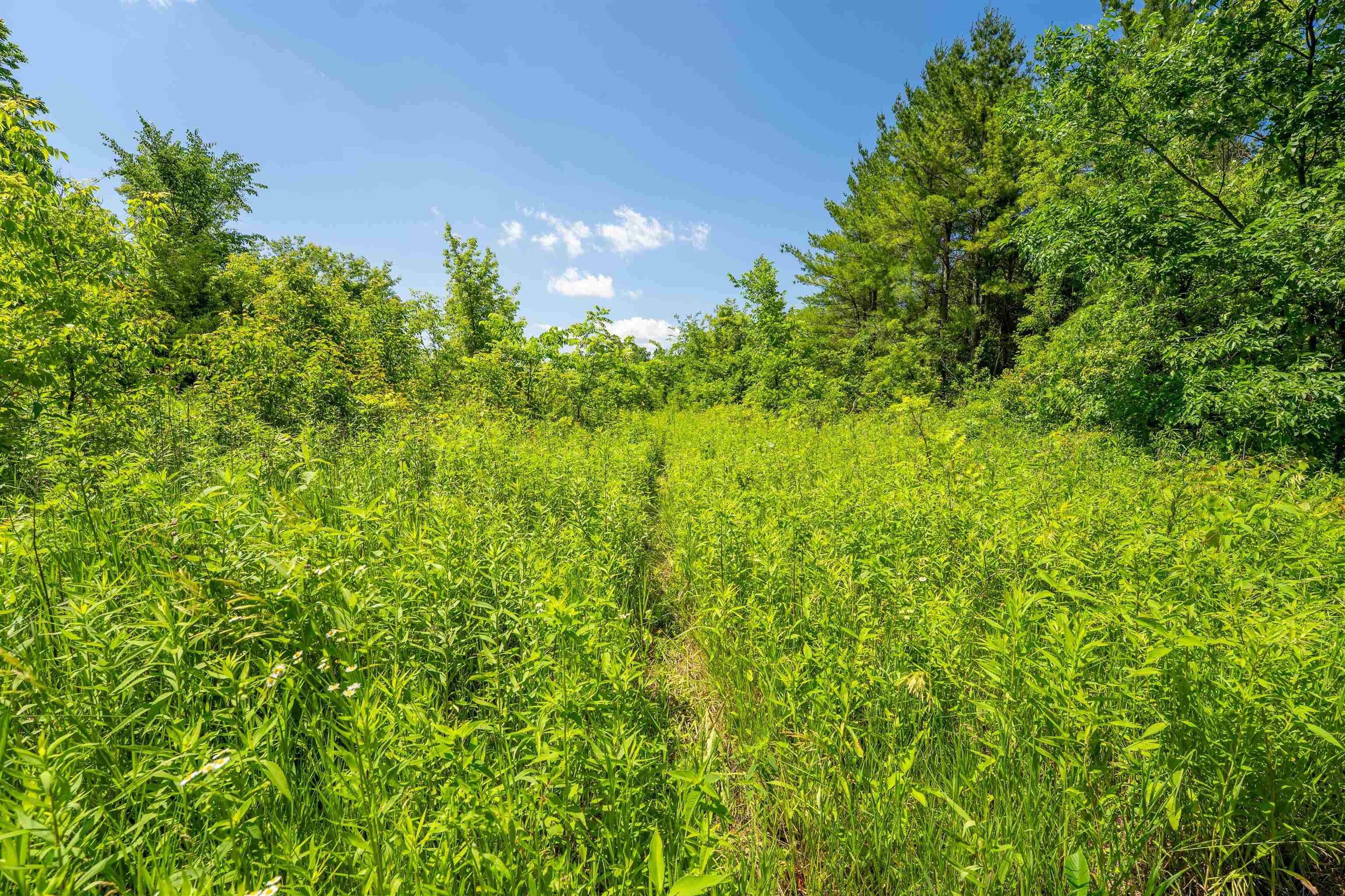 0 South Crazy Hollow Road Hanover, IL 61041 - Photo 65 of 98 a backyard of a house with lots of green space